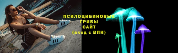 СК Пролетарск